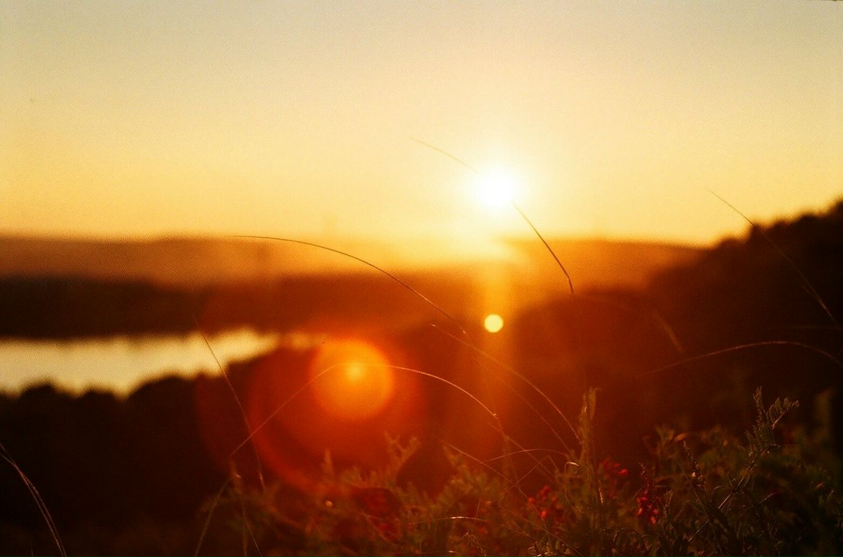 Звезда Звезда | Vieux Fort