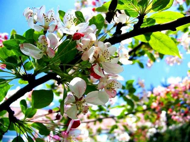 №7, Виктория Бариева, Москва №7, Виктория Бариева, Москва