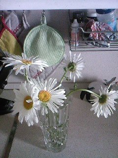 Оля Пархомук | Санкт-Петербург