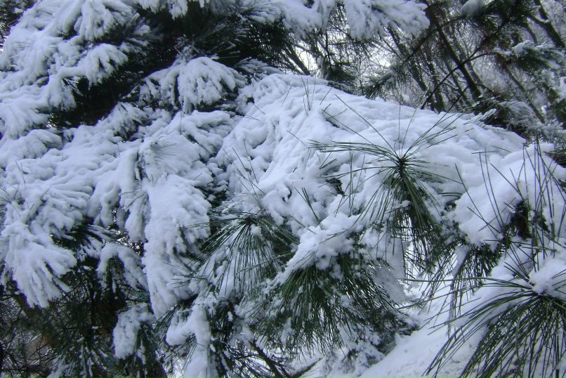 Анастасия Румянцева (Науменко) | Мариуполь