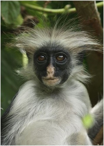 №74, Анжела Порохницкая, Одесса №74, Анжела Порохницкая, Одесса