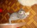 Ирина Охезина фотография #24