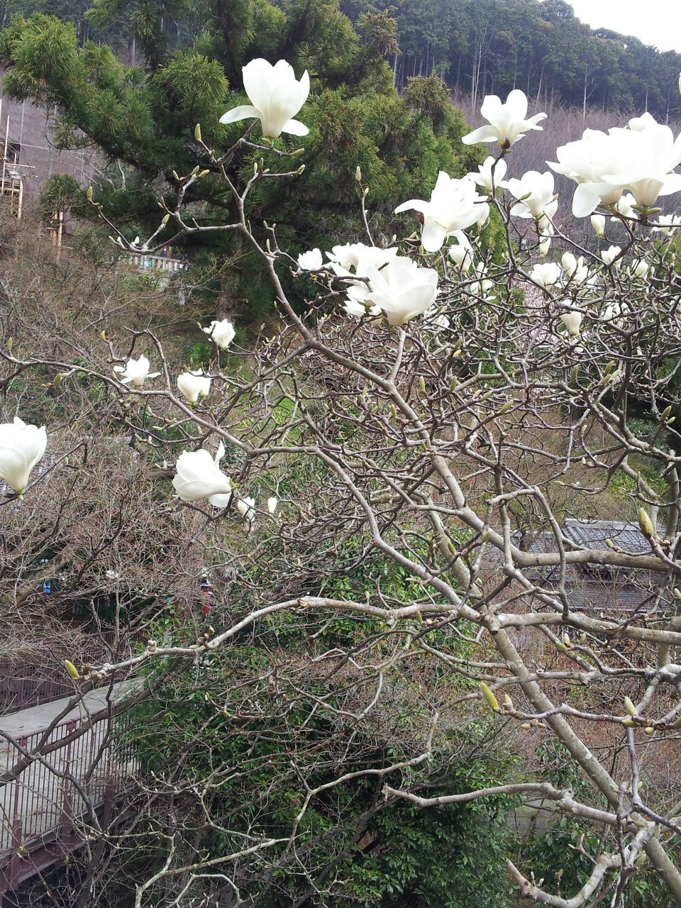 Наташа Реброва | Москва