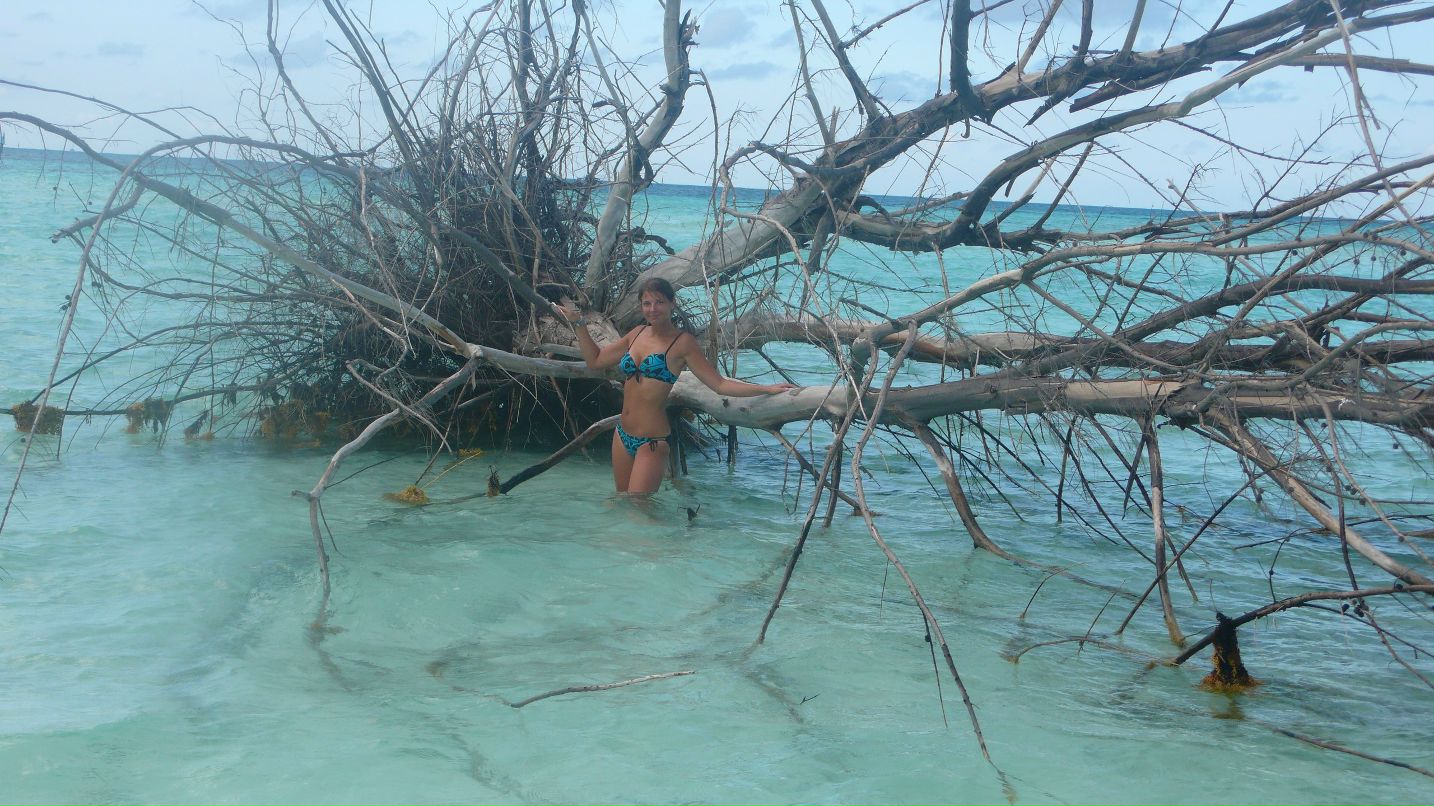 Анна Барышева | Москва