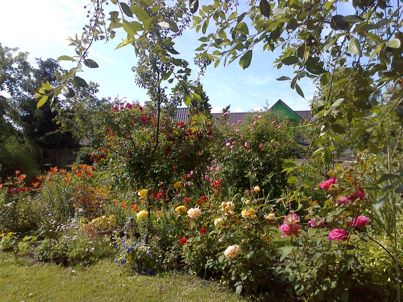 Sofja Devjakovits | Таллин