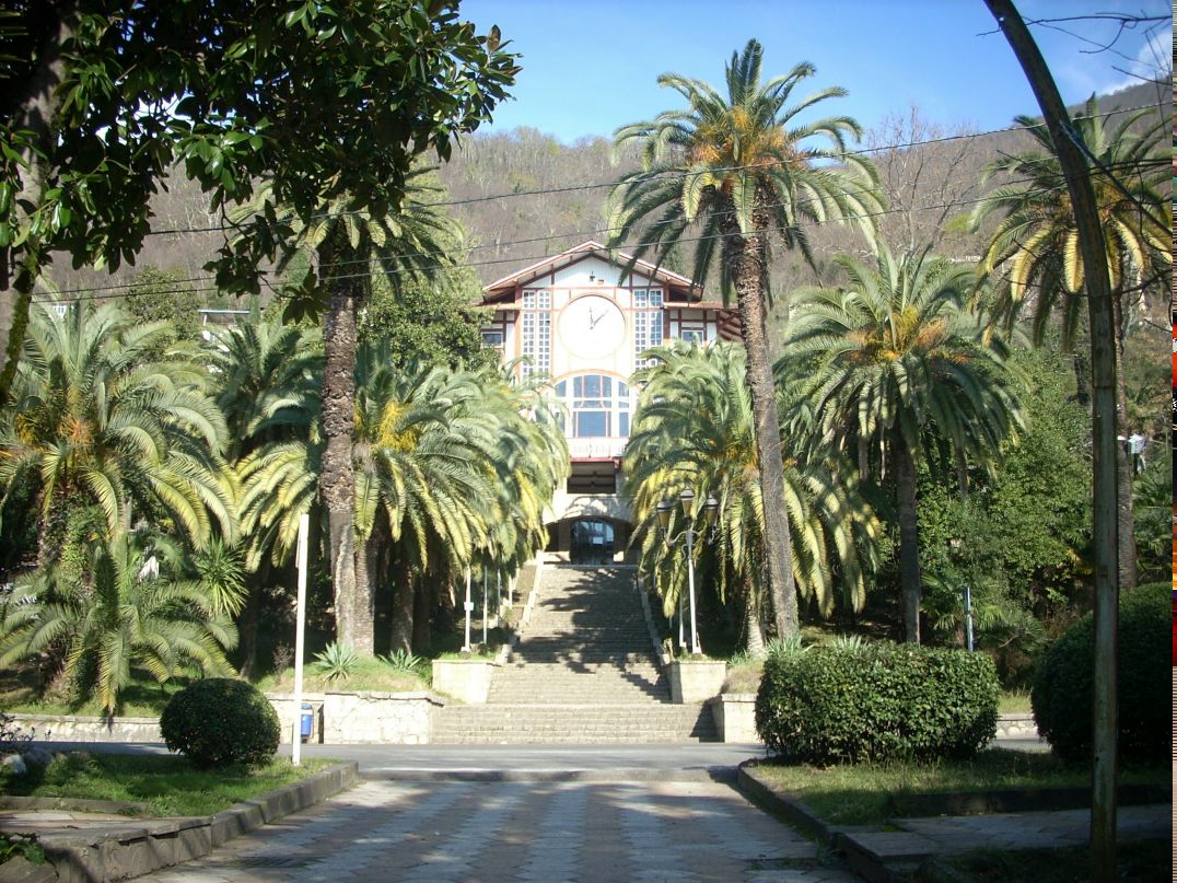 Альбина Абазова | Майкоп