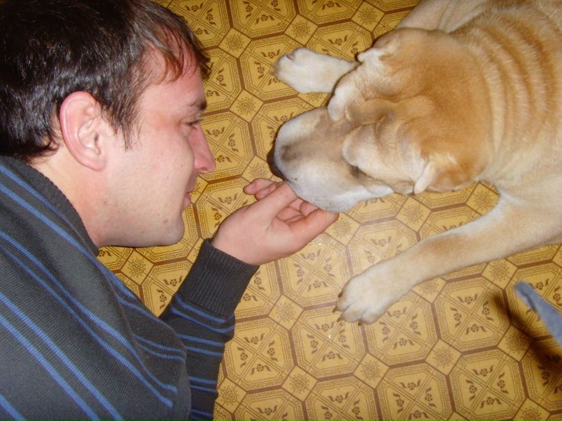 №2, Александр Бондаренко №2, Александр Бондаренко