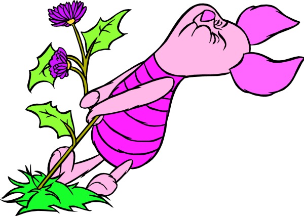 №92, Бобовое Зёрнышко, Краматорск №92, Бобовое Зёрнышко, Краматорск