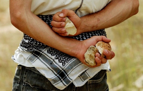 №12, Алёша Сахаров №12, Алёша Сахаров