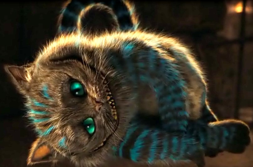 Elena Morozova | Донецк