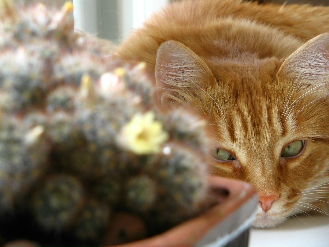 Евгения Олейник | Нижний Новгород