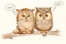 №23 Катерина Петрова