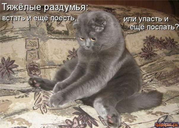 №85, Дашуля Манько №85, Дашуля Манько