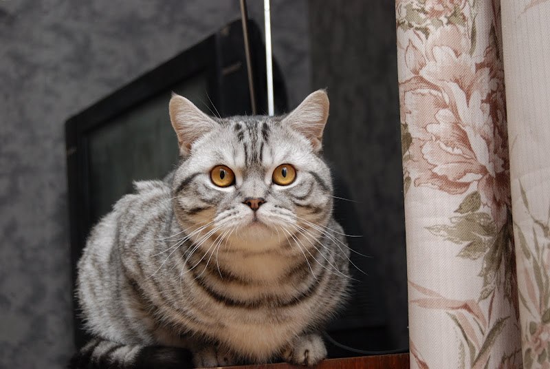 Павел Васильев | Запорожье