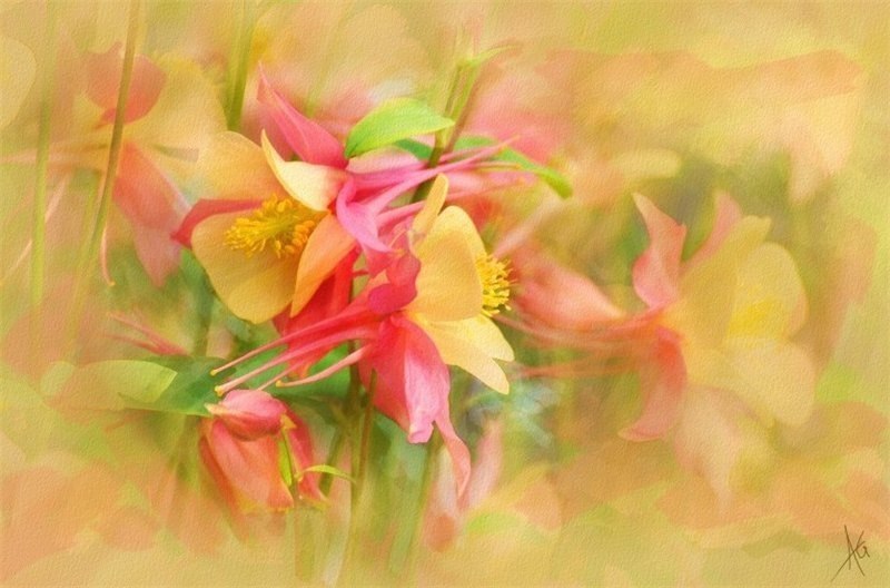 Алёна Яндовлетова | Казань