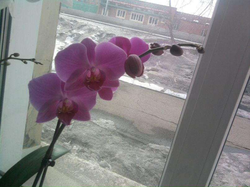 Валентина Колосова | Кемерово