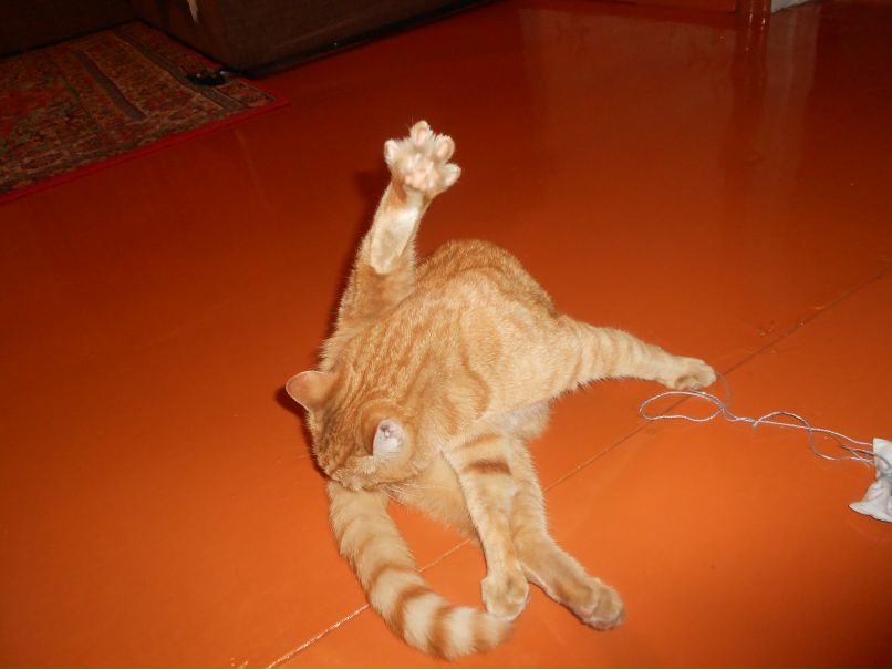 Диана Юнусова | Чишмы