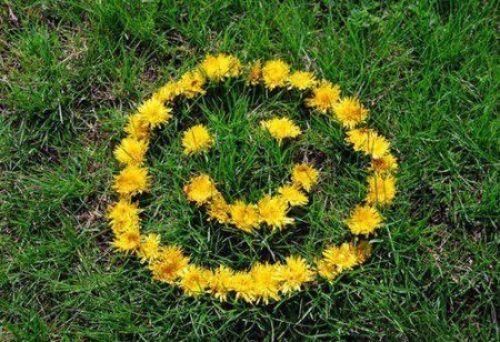 Владимир Кобринюк Николаевич | 