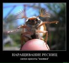 №33 Екатерина Демьяненко : профиль, фото, статус - ВКонтакте №33 Екатерина Демьяненко : профиль, фото, статус - ВКонтакте