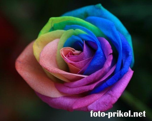 Анна Герасимова | Новое Андиберево