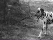 Анастасия Каратуева | Улан-Удэ