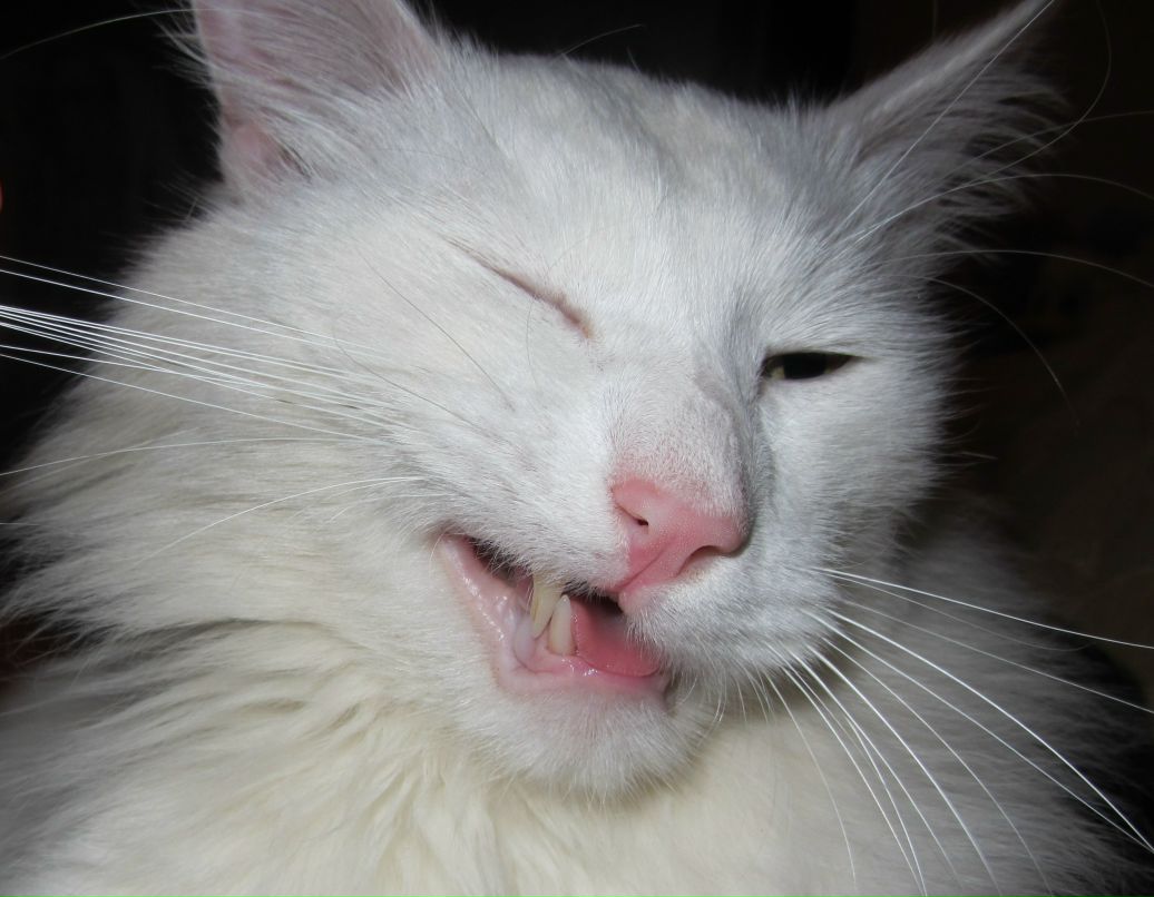 Виктория Бэкхем | Москва