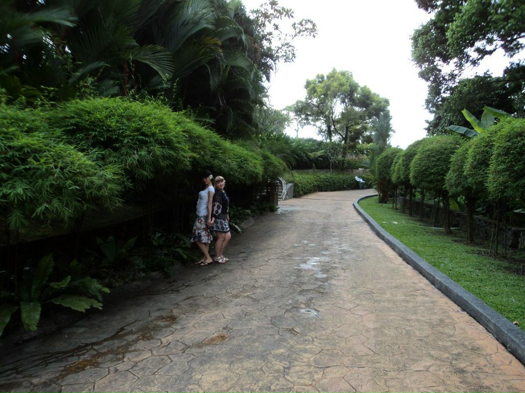 Татьяна Гребешкова | Новосибирск