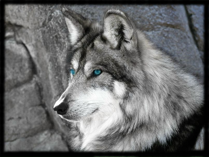 Vitalii Lucshekov | Санкт-Петербург