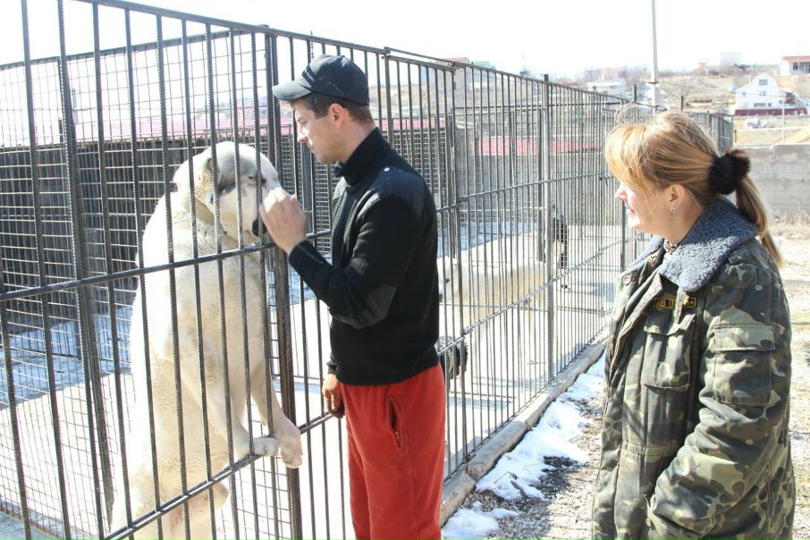 №7, Руслан Гордеев, Львов №7, Руслан Гордеев, Львов