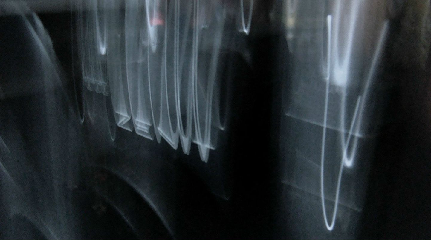 Дилька Ибрагимова | Москва