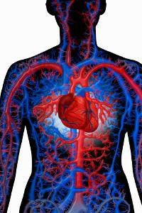 Аня Овчар ♥Angel♥ | Ивано-Франковск