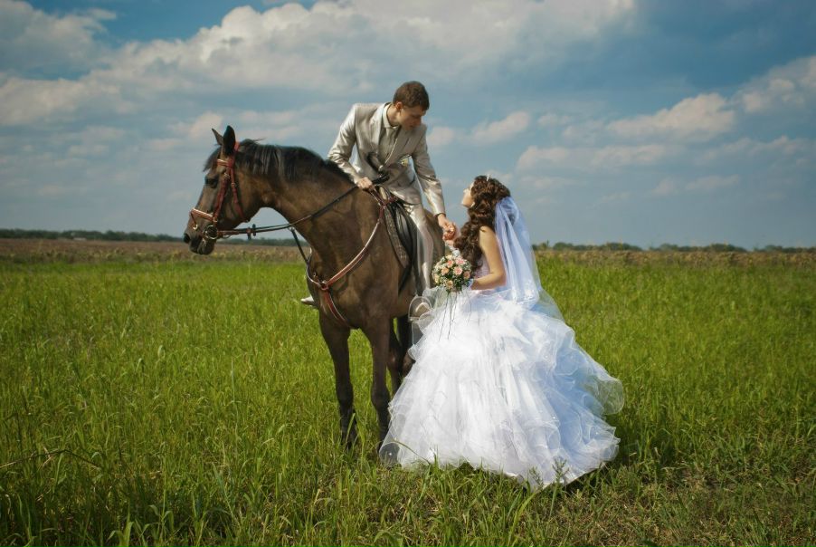 №89, Сергей Рыбицкий, Запорожье №89, Сергей Рыбицкий, Запорожье