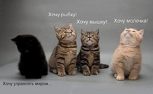 Дарья Каретникова | Пенза