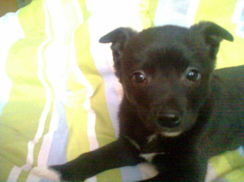 Санька Родионова | Москва