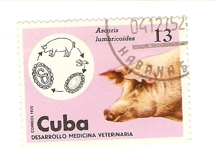 Жека Карпичев | Череповец