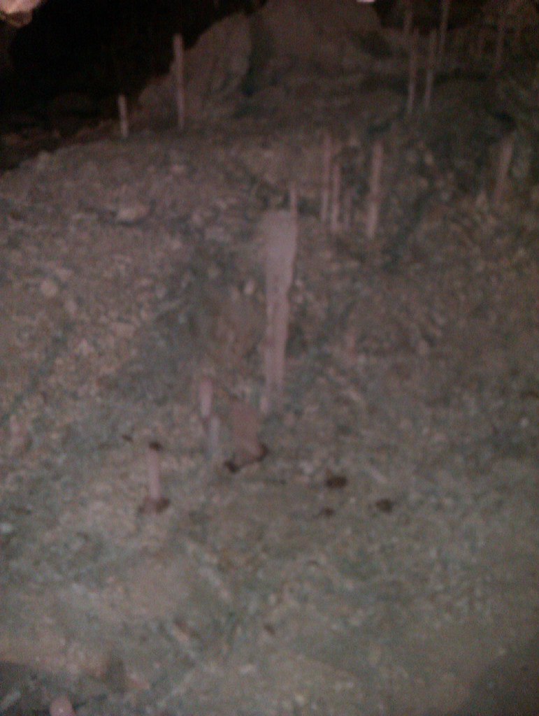 Александр Малышев | Ижевск