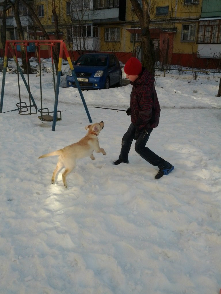 Михаил Пятаков *PiF* | Пермь