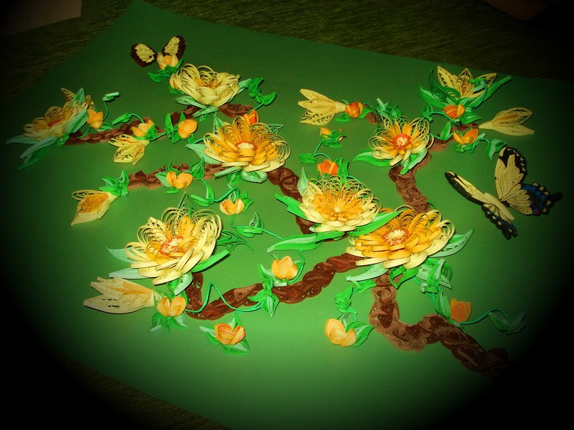 Виктория Богачёва | Вологда