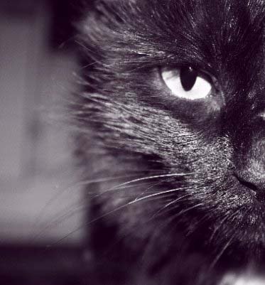 Настя Бастрикова | Москва