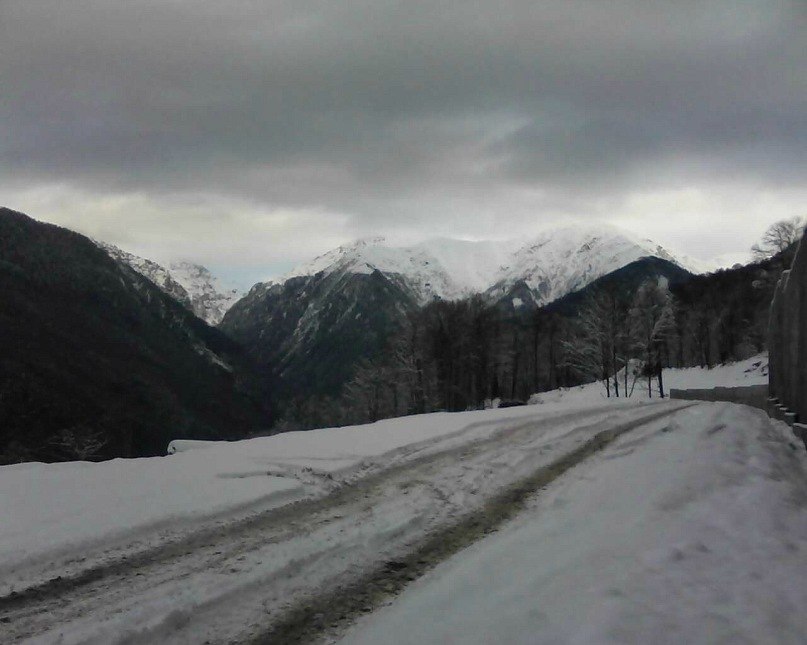 Aleksandr Ogurtsov | Сальск