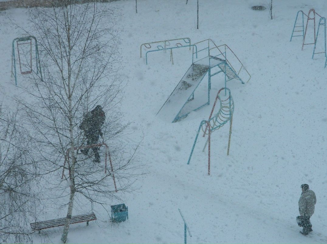 Алиска Додина | 