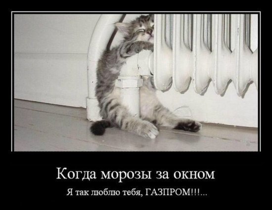 Алиса Брылёва Happiness | 