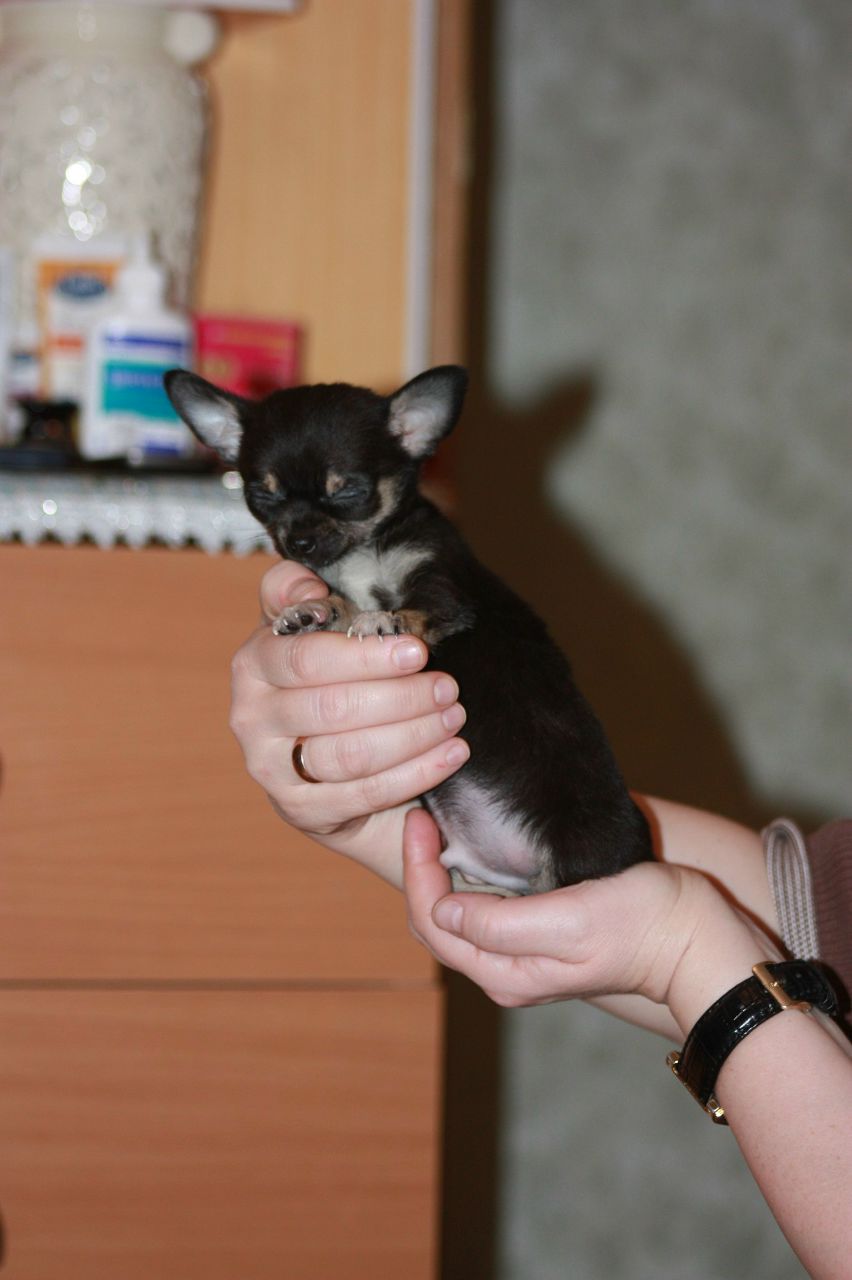 Марина Гранкина | Сергиев Посад