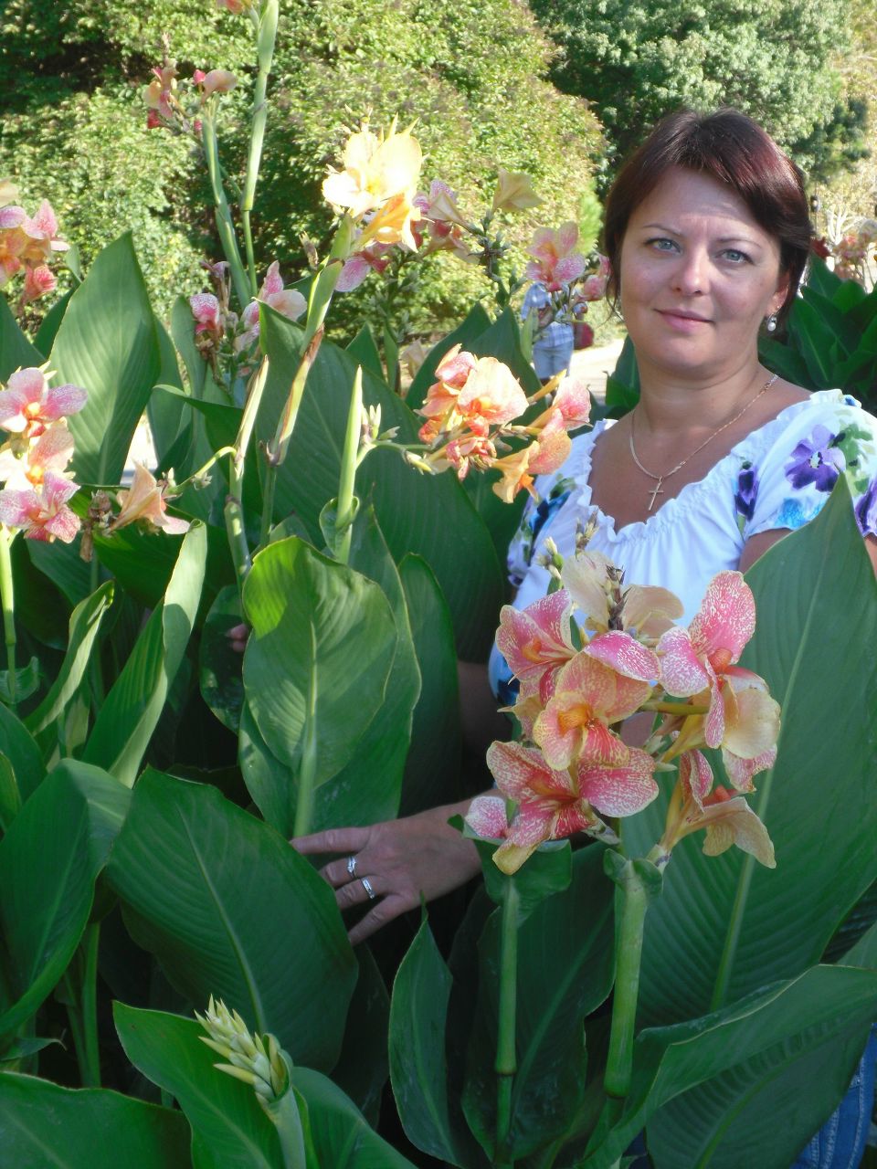 Юлия Гулькина | Сумы