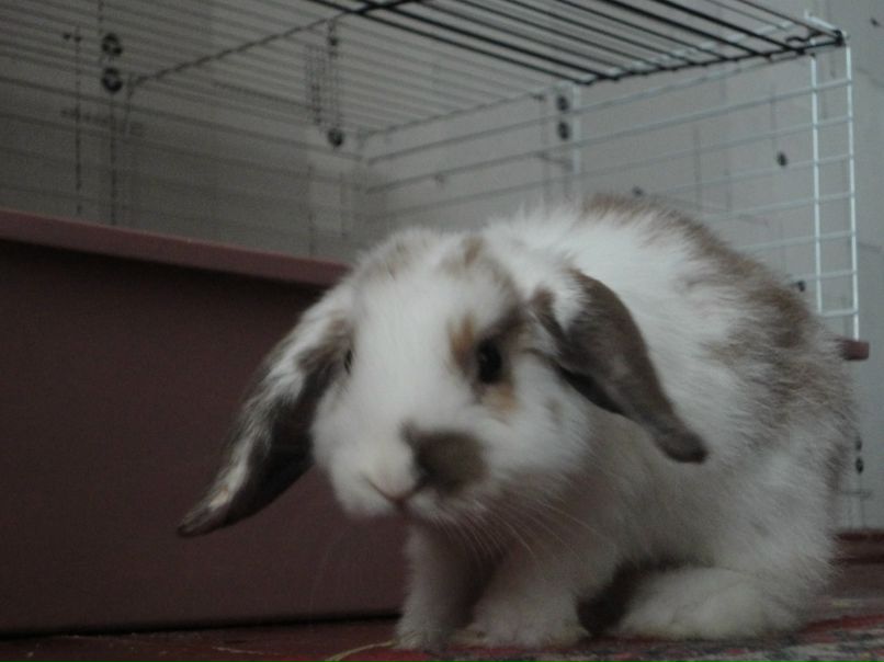 Катя Киселёва | Иваново