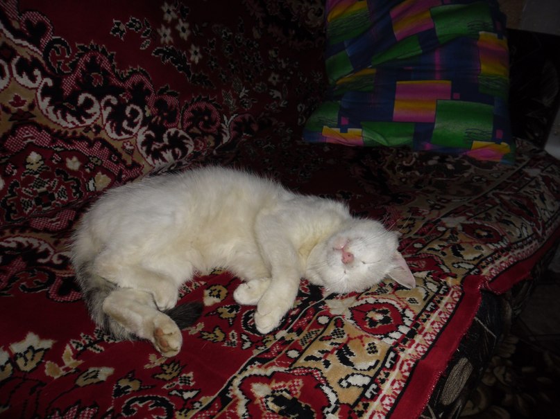 Елена Бондарцева | Нижний Новгород