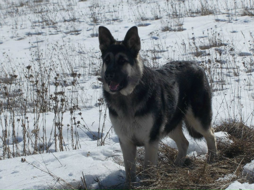 Ангелина Маркелова •¸•▪♥ ЛюБлЮ и ЛюБиМа♥▪•¸• | Боровичи