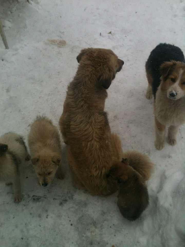 Тимур Явишев | Казань