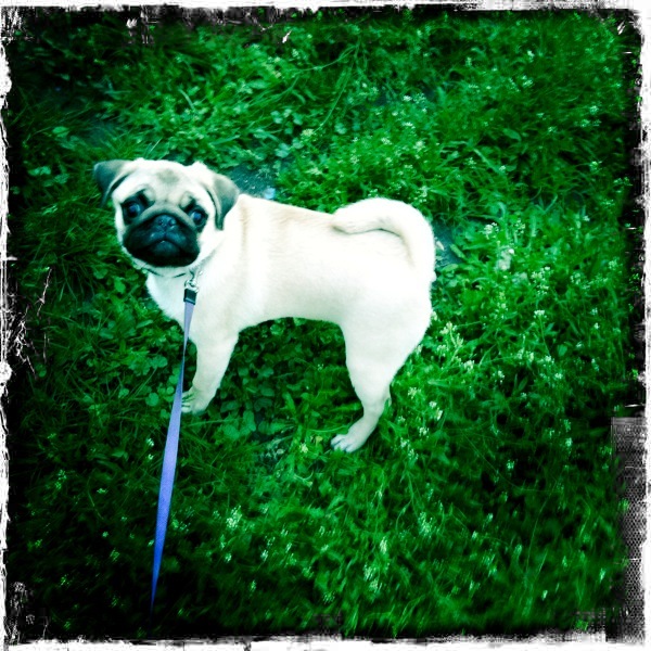 №11, Lesia Patoka, Киев №11, Lesia Patoka, Киев