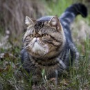 Фотография Оксузяна Андрея